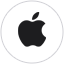 iPhone AI